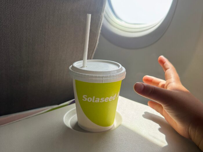 ソラシドエアの機内から