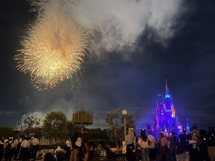 ディズニーランドの花火