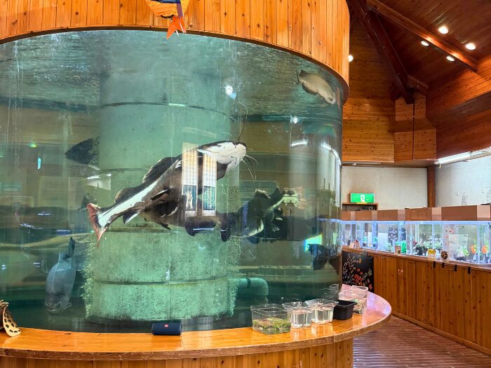 出の山淡水魚水族館