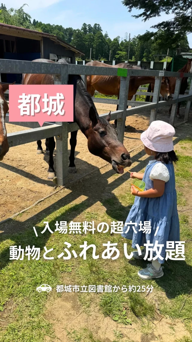 楽しすぎるから覚悟して🤭💓

現金払いのみだから
100円玉をたくさん持っていくのがおすすめ🤝✨️

スタッフさんにお願いすれば
両替も対応してもらえるよ◎

【ふれあいの丘】
🚗都城市立図書館から約25分

住所｜宮崎県都城市山田町中霧島４４８０
電話｜0986-64-0050
開園時間｜10:00〜16:00
入園料｜無料
駐車場｜あり

💰️体験したもの
餌やり　￥100
うさぎエリアのみ入場料　￥100
ポニーライド　￥600
（広場を一周ぐるり）
犬の散歩（15分・犬のおやつ付き）　￥600

（店舗情報はGoogleMAPやSNS等を参考にしてます）

⚘‬.*・゜┈┈┈┈┈┈┈┈┈┈┈゜・*.‪ ⚮ ‧ .

看板を見て、
ずーっと気になっていたスポット🐰✨️
梅雨の合間の天気のいい日に行ってきたよ😊

着いたら早速、
かわいいネコちゃんが2匹出迎えてくれて
ムスメは大喜び🐈️💓
ここの動物たちはみんなとっても穏やかで
安心して触れ合えたよ🥰

ここにはうさぎやポニー、馬、犬、猫がいて
餌やり体験や乗馬体験、お散歩体験までできる🐕️✨️

正直あんまり期待してなくて、
サクッと行って帰るつもりが、
3時間ぐらい滞在してた🤣✨️

まちなかからも30分くらいで行けるし
日曜日の午後でも
それほど混まずにゆっくり楽しめるから
めちゃくちゃおすすめのスポット🥹🌸
ただ餌が売り切れの場合もあるから、
体験をいろいろ楽しみたい人は
早めに行くのをおすすめする🤝💓

広場には手作りのブランコもあって、
自然の中でゆっくり過ごせる時間も最高だった🥰

⚘‬.*・゜┈┈┈┈┈┈┈┈┈┈┈゜・*.‪ ⚮ ‧ .

【オリジナル # 検索】でエリアごとにチェック🙌
# エリアwk
# ジャンルwk

でこのアカウントだけのオリジナル検索ができるよ◎

【エリア＃】
#都城wk

【ジャンル＃】
#スポットwk

☝気になる# をタップしてね◎

⚘‬.*・゜┈┈┈┈┈┈┈┈┈┈┈゜・*.‪ ⚮ ‧ .

都城グルメを発信しているママ👧♡
おすず（ @go_with.kids）です🐖✨

都城を中心に、鹿児島・宮崎のグルメを紹介してるよ🍴
他の投稿もぜひ見てみてね🙌

⚘‬.*・゜┈┈┈┈┈┈┈┈┈┈┈゜・*.‪ ⚮ ‧ .

いつも見てくださるみなさまや
取材させていただいたお店のみなさまには
感謝の気持ちでいっぱいです🥺✨

【このアカウントの夢】
「子連れで行っても大丈夫かな、、」
そんな不安を一つでも解決して
子どもと一緒にお外ごはんやカフェタイムを楽しむ
ママさん、パパさんが増えますように♡

【ご協力のお願い】
わたしの活動に少しでも興味を持っていただき、
お仕事や取材の依頼をしてみたいと
思ってくださった方がいらっしゃいましたら
お気軽にDMにメッセージください☺
@go_with.kids

#都城　#都城おでかけ　#都城子連れ
#都城公園　#ふれあいの丘
#宮崎　#宮崎子連れ